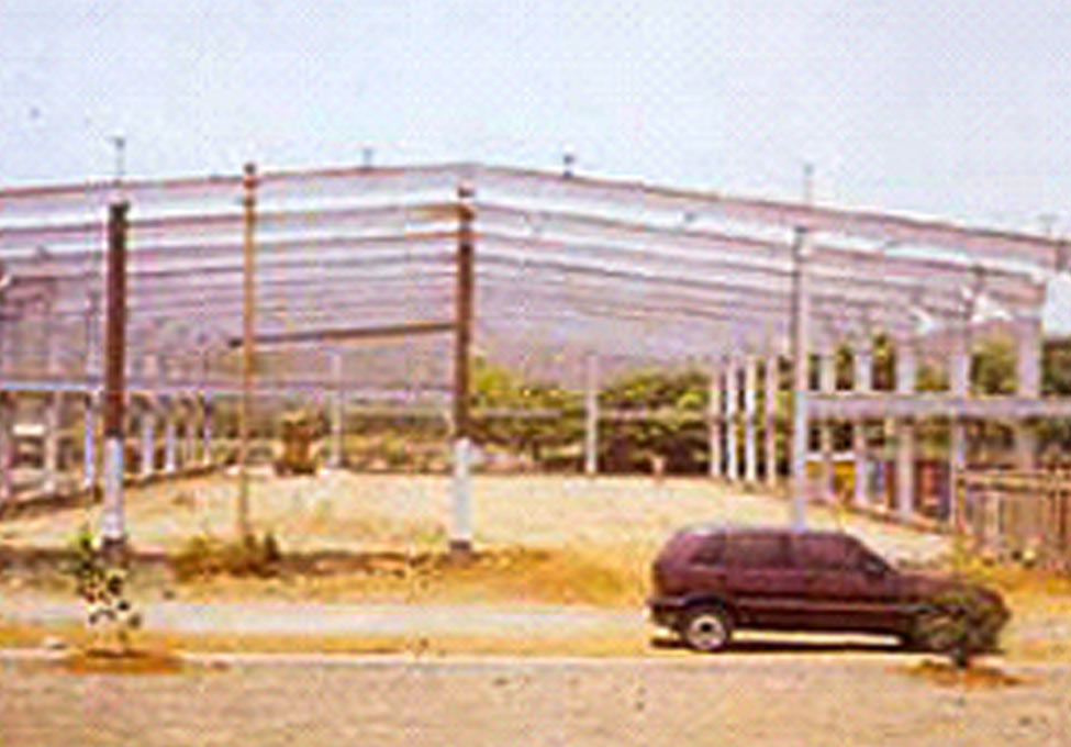 Skeleton Steel Structure